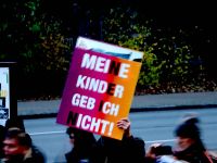 SchulstreikNeubrandenburg5.12._003